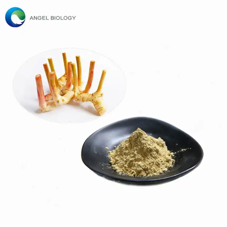 Which Is Better for Digestion, Ginger or Galangal Extract Powder?